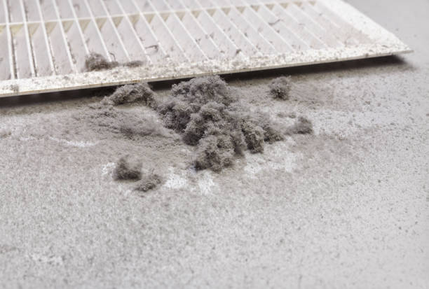 Best Ductwork Cleaning Services  in Terryville, CT