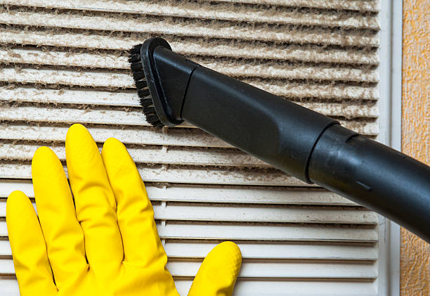 Best Dryer Vent Cleaning Services  in Terryville, CT